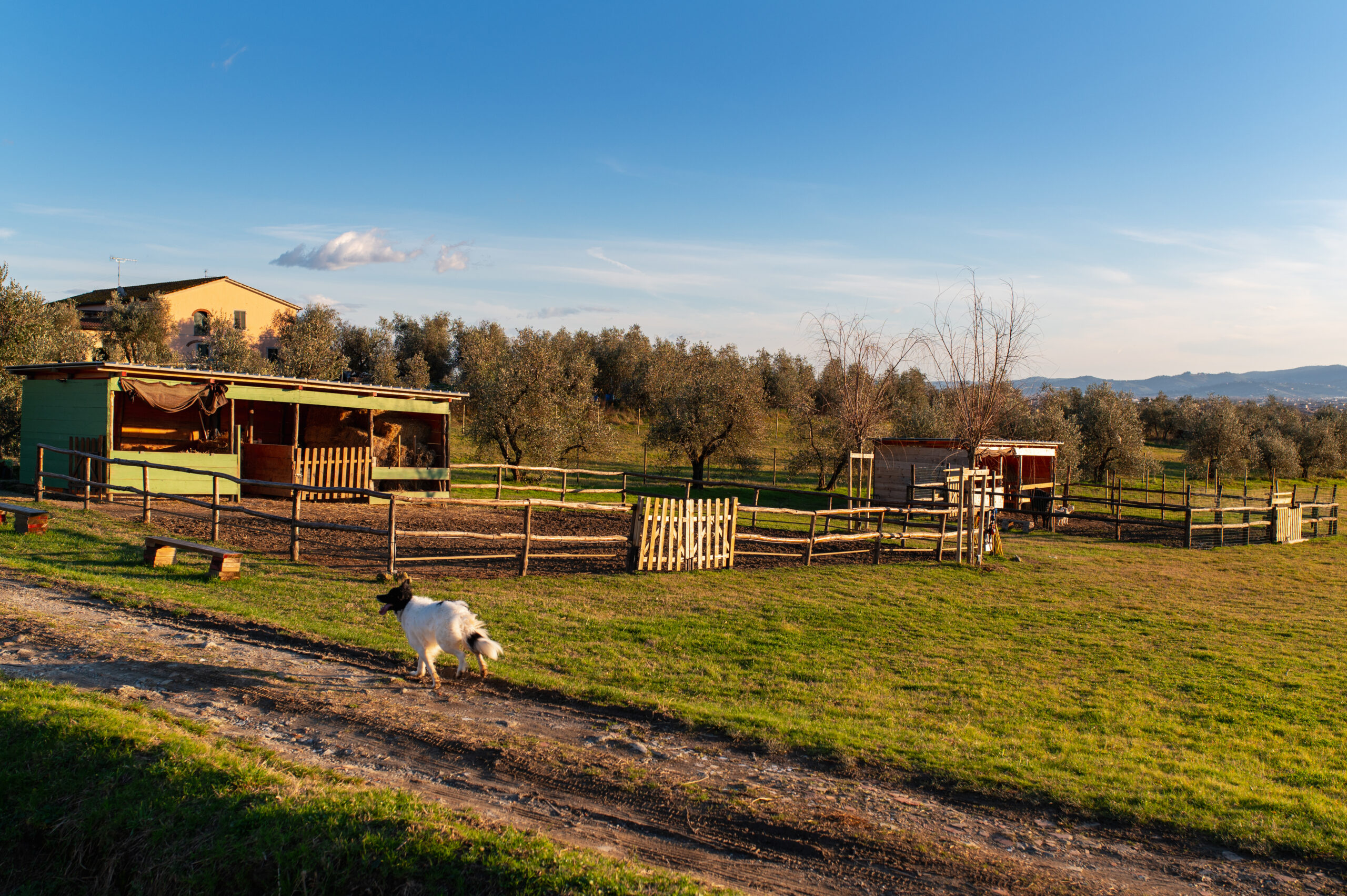 Agriturismo con animali in Toscana
