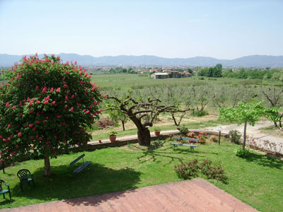 Best agriturismo in Tuscany